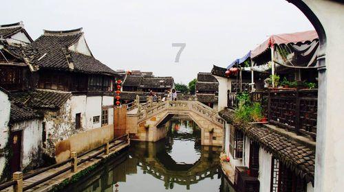 早知惊鸿一场何必情深一往是什么意思?—全球最新最全的红迪网平台
